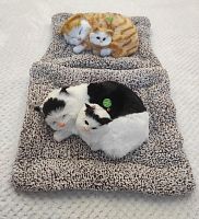 "Кошка с котенком" во Баймаке