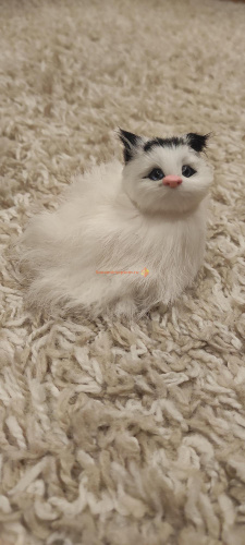 Кот из меха со звуком 2 во Баймаке